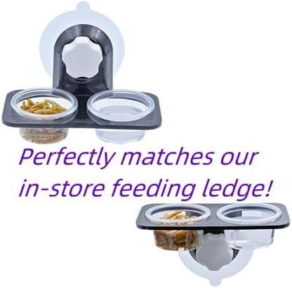 Lizard Crested Gecko Food Water Feeding Cups, 100 pcs, 1 oz