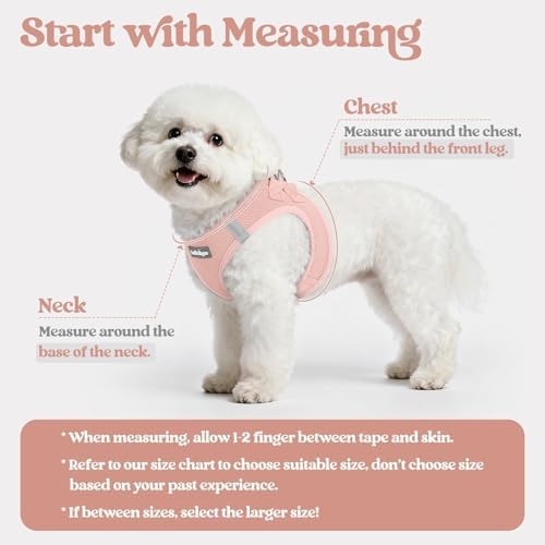 rabbitgoo Dog Harness Medium Sized and Leash Set, Step-in Puppy Pet Vest