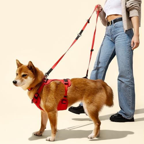 WLK1006M-5SET Luna Large 8FT Adjustable 6-in-1 Waterproof Hands-Free Leash and Collar with LED Flashlight, Bag Dispenser, and Poop Bag Holder, Shirley