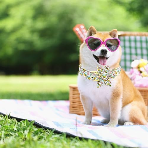 Dog Collar with Flower-Cute Bee Adjustable Pet Collar Soft Pink Flower Spring Cotton Puppy Collar Metal Buckle for Small Dogs