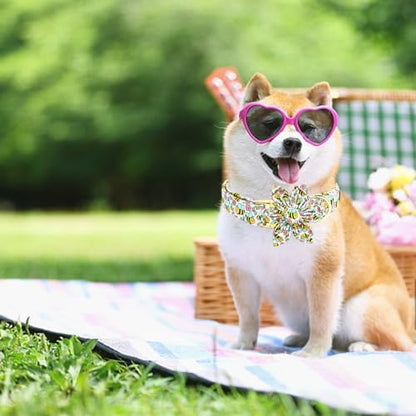 Dog Collar with Flower-Cute Bee Adjustable Pet Collar Soft Pink Flower Spring Cotton Puppy Collar Metal Buckle for Small Dogs