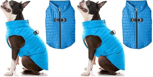 Gooby Puffer Vest Dog Jacket - Blue, Large - Ultra Thin Zip Up Wind Breaker with Dual D Ring Leash - Water Resistant Small Dog Sweater Coat - Dog Clothes for Small Dogs Boy or Medium Dogs (Pack of 2)
