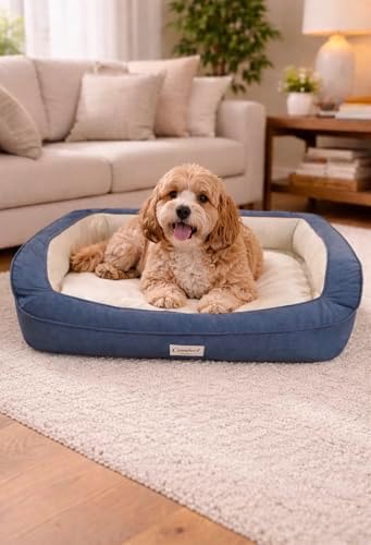 Orthopedic Dog Bed, Blue, Bolster Sides, Non-Slip Bottom, Plush Cushion, Easy to Clean, for Small to Medium Dogs