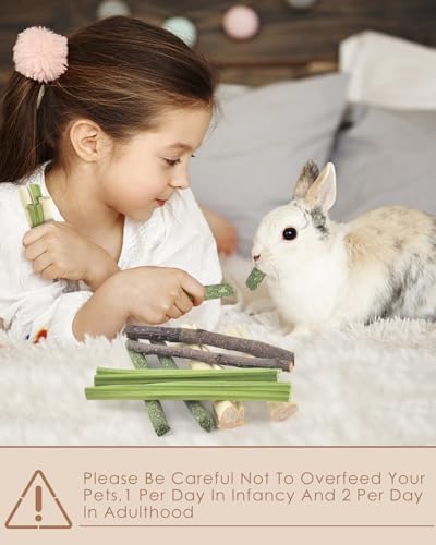 Bissap 60PCS Rabbit Chew Sticks, Natural Mix Molar Treat for Small Animals