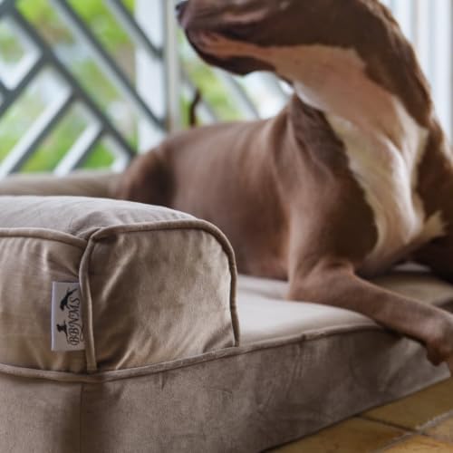 Orthopedic Dog Bed for Medium & Large Dogs – Sofa-Style Memory Foam Dog Bed with Odor Control Foam, Washable Cover, Waterproof Liner & Bolstered Sides (Taupe, Large)