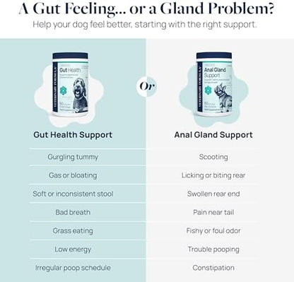 Veterinary Formula Smart Vitality Anal Gland Soft Chews for Dogs, 60 Count