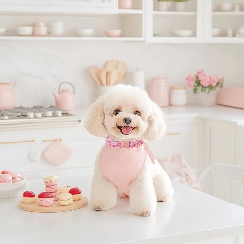 Strawberry Bow Dog Collar, Spring/Summer Pink Girl Dog Collars, Adjustable Heavy Duty Girly Female Dogs Collars for Small Medium Large Dogs with Metal Buckle XL