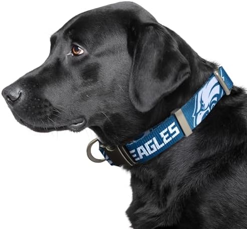 Littlearth NFL Detroit Lions Pet Premium Collar, Team Color, Small