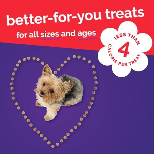 Fruitables Skinny Mini Dog Treats, Healthy Sweet Potato Treat for Dogs, Low Calorie & Delicious, Puppy Training, No Wheat, Corn or Soy, Made in the USA, Bacon and Apple Flavor, 12oz (Pack of 2)