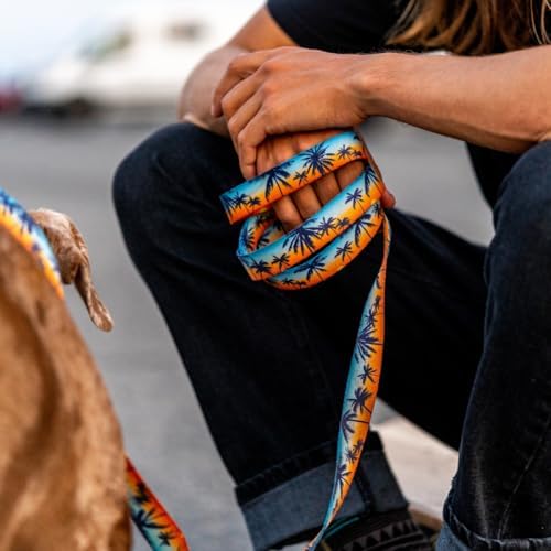 Wolfgang Heavy Duty Dog Leash, Pull-Tested to Over 800 lbs for Walking & Training, SunsetPalms Print, Dual-Handle Large