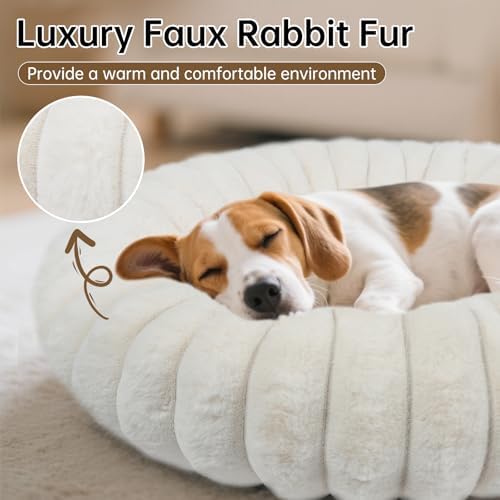 Donut Small Medium Dog Bed Washable Kitty & Puppy Bed,23in White