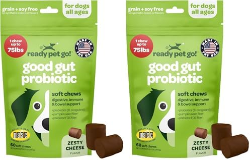 Probiotic Chews for Dogs Gut Health | Tasty Pre and Probiotics for Dogs Digestive Health with Pumpkin Dog Probiotics and Digestive Enzymes | NASC Certified & Made in The USA | 60 Chews (Pack of 2)