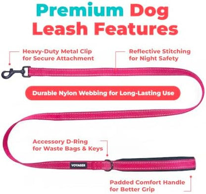 Best Pet Supplies Voyager Nylon Dog Leash - Fuchsia, Large