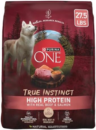 Purina ONE True Instinct Dry Dog Food, Real Beef & Salmon, 27.5 lb Bag