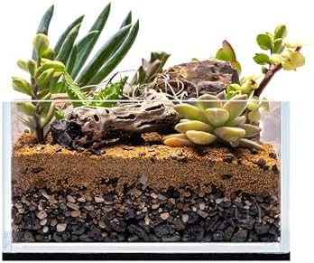 UNS Ultra Clear Rimless Tank - 0.5GAL | 2L - 6.29x6.29x3.14 | 16x16x8 CM, 5mm Glass Thickness, Leveling Mat Included - Low Iron, High Clarity Fish Tank w/ 45° Mitered Edge - [16S]