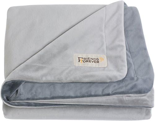 Friends Forever Dog Bed Blanket , Pets Blankets for Couch Sofa Protection