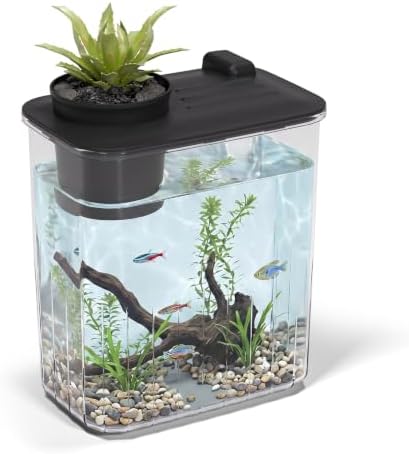 0.8 Gallon Betta Fish Tank Aquarium Starter Kit with Light and Lid(Black)