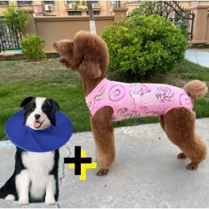 Xqpetlihai Dog Onesie Surgery Recovery Suit for Medium Large Dogs Recovery Shirt for Abdominal Wounds or Skin Diseases Bodysuit Dogs Pajamas(SW,XS)