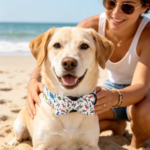 Summer Dinosaur Print Dog Collar with Bow for Large Dogs