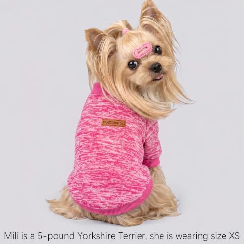 3 Pack Dog Sweaters for Small Dogs Girl Boy Winter Fleece Clothes Warm Soft Dog Sweatshirt Outfit for Dogs Cats Pet Apparel