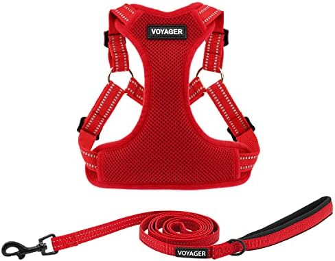 Best Pet Supplies Voyager Adjustable Step-in Flex Breathable Mesh Dog Harness for Small Medium Large Dogs Leash Set (Red), XL