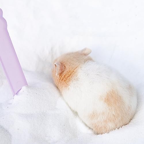 DR.DUDU 2.8lb Hamster Sand for Sand Bath, Hamster Cage Accessories(White)
