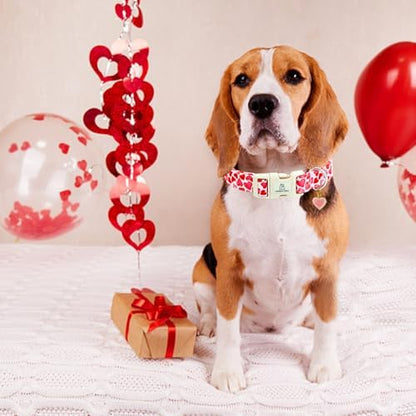 Lionheart glory Valentine's Day Collar, Red Hearts Dog Collar for Medium Cute Dog Collars Spring Female Pet Gift Adjustable Heavy-Duty Holiday Dog Collar Plastic Buckle