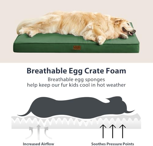 BFPETHOME Outdoor Waterproof Dog Bed for Large Dogs, Washable Cover, 54"