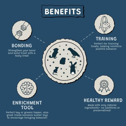 Chews, 100% All Natural Flavoured Balsa Wood for Rabbit Hamster Guinea Pig Chinchilla Pet Rat Mice Gerbil Bird, Healthy Enrichment Boredom Buster Molar Chew Toy 12pcs