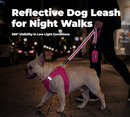 Best Pet Supplies Voyager Nylon Dog Leash - Fuchsia, Large