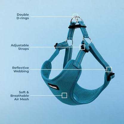 Voyager Step-in Flex Adjustable Dog Harness - Turquoise, Small
