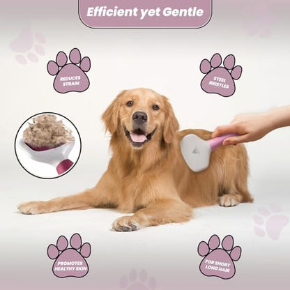 Slicker Brush for Grooming - Slicker Brush for Dogs and Cats can act as Deshedding Pet Tool for Healthy Coat Maintenance and Suitable for Short and Long Haired Dogs and Cats