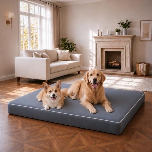 Orthopedic Dog Mat, 100% Waterproof 28D Foam Bed, Washable