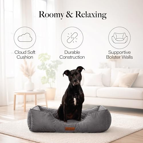 Modern Threads Luxury Dog Bed - Comfortable Tufted Velvet Cushion for Small to Large Dogs - Machine Washable - Durable & Cute Sleep Space for Pets - Pamper Your Pet with Cozy Beds - Charcoal