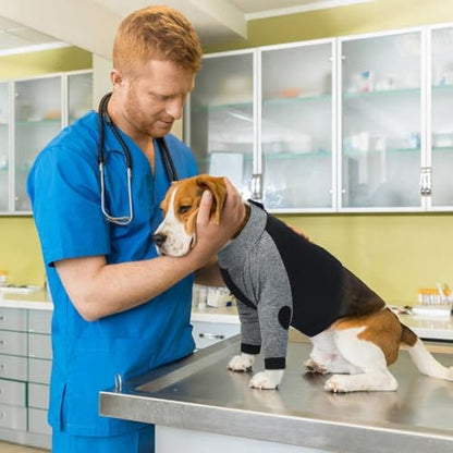 Lelepet Dog Recovery Suit for Front Legs Dog Sleeve to Stop Licking Black L
