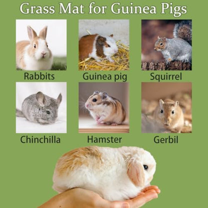 4 Pcs Natural Rabbit Grass Mats Chewable Bedding 11''x8.3''