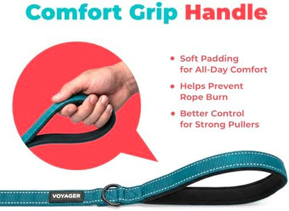 Best Pet Supplies Voyager Nylon Dog Leash - Turquoise, Small