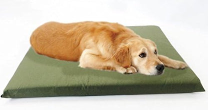 Luxurious Comfort Solid Pad Memory Foam Pet Dog Bed with Inner Waterproof Case and External Cover for Medium and Large Dogs + Free 2nd Cover (Complete Bed - 45"x27"x3", Canvas - Green)