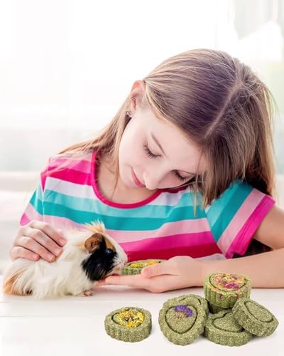 Sofier 16Pcs Timothy Hay Treats - Natural Chews for Teeth - Handmade Rabbit, Chinchilla, Gerbil, Rat, Hamster Toys - Bunny & Guinea Pig