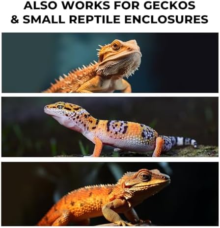Bearded Dragon Tank Cleaning Kit, Reptile Enclosure Cleaning Set for Lizard