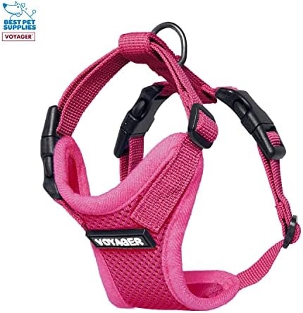 Best Pet Supplies Voyager Step-in Lock Pet Harness w Reflective Pet Leash Combo Set with Neoprene Handle 5ft - Supports Small, Medium and Large Breed Puppies/Cats - Fuchsia, XXS