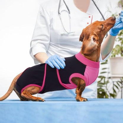 Kuoser Dog Recovery Suit, Female Male Spay Neuter Surgery Suit, Black, M