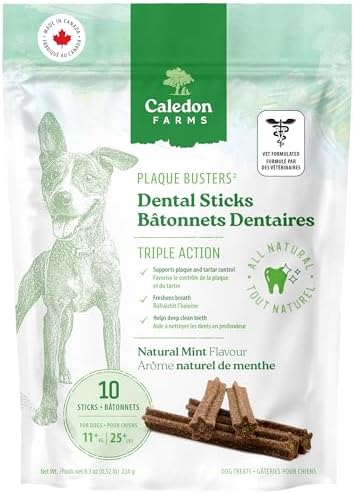 Plaque Busters Dental Sticks Triple Action Natural Mint Flavour, 8.3 oz, Dog Treat