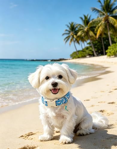 Lionet Paws Blue Summer Ocean Dog Collar with Cute Blue Whales Pattern Pendant - Female Male Boy Dog Collar for Small Medium Large Dogs M