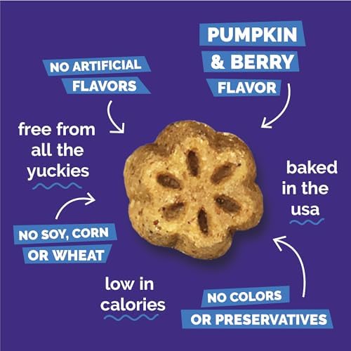 Fruitables Skinny Mini Dog Treats, Training Treats, Pumpkin & Berry, 12oz