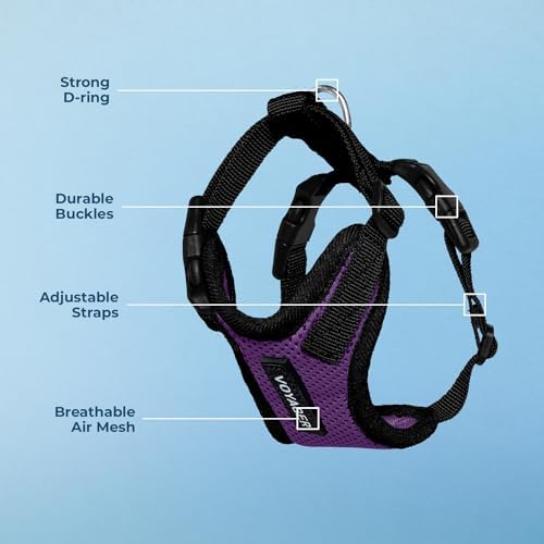 Voyager Step-in Lock Dog Harness - Purple/Black Trim, X-Small