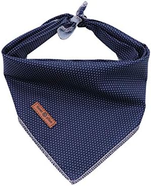 Lionet Paws Dog Bandana for Small Medium Large Dogs, Cat Kerchief Blue DOIT, Triangle Bibs Scarf for Girl or Boy