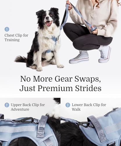 Fei & Eve Classic Dog Harness