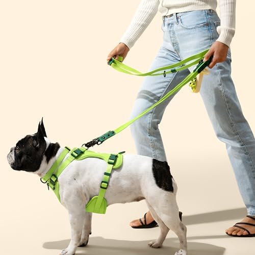 WLK1004B-5SET Luna Small 8FT Adjustable 6-in-1 Waterproof Hands-Free Leash and Collar with LED Flashlight, Bag Dispenser, and Poop Bag Holder, Mojito