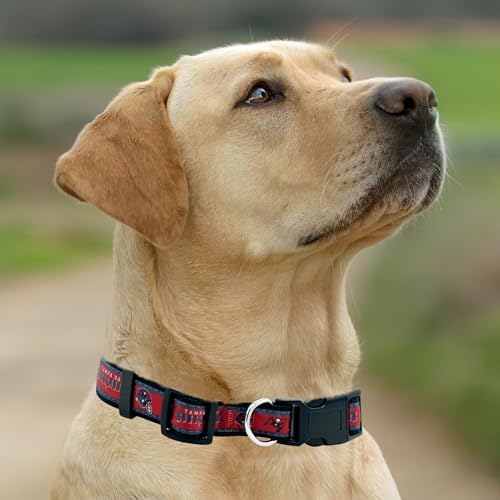 Pets First NFL Tampa Bay Buccaneers Licensed PET COLLAR, Small - Heavy-Duty, Strong, and Durable Dog Collar. Available in 31 Football Teams and 4 Sizes